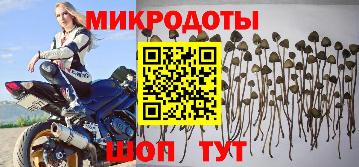 Среднеуральск  Псилоцибиновые грибы мухоморы  Вход с VPN 
