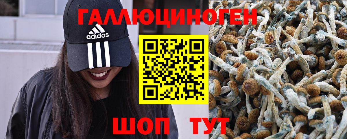 Псилоцибиновые грибы Magic Shrooms Среднеуральск